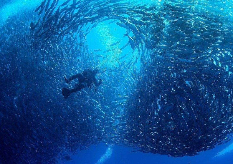 格力空调内机漏水是怎么回事？游戏画面