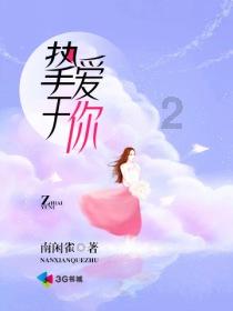 新高达破坏者